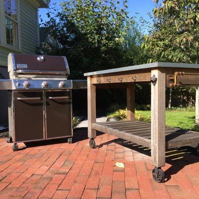 Weber "Genesis" Grill, Pottery Barn- Abbott Island