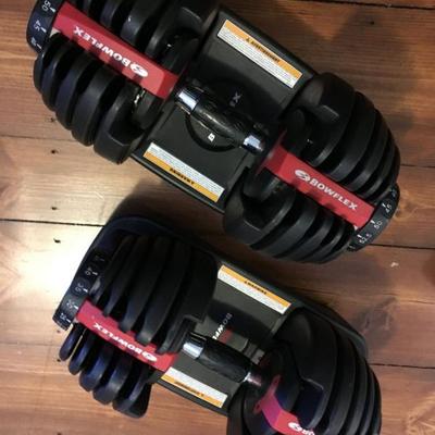 Bow Flex Weights