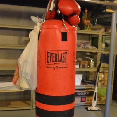 Everlast punching bag