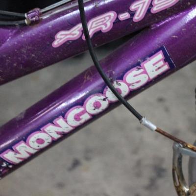 Bicycle
