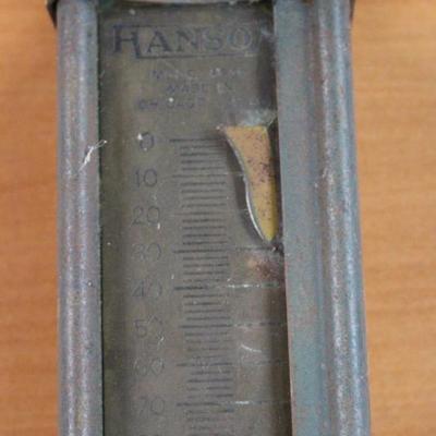 Hanson scale