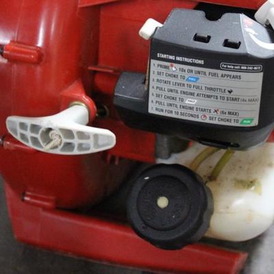 Homelite blower