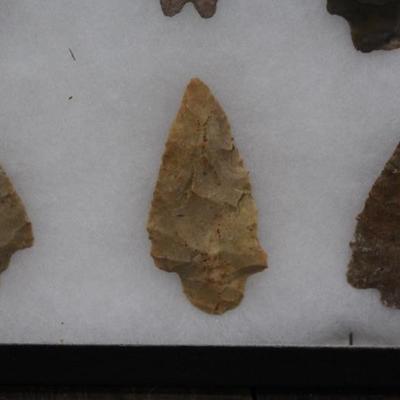 Frame of 8 Very Nice Chert S GA Projectile Points
