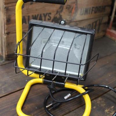 Flood light