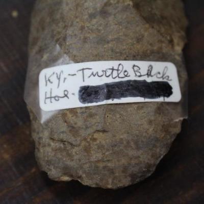 Kentucky Turtle Back Hoe of Dark Chert w/ nice Polish