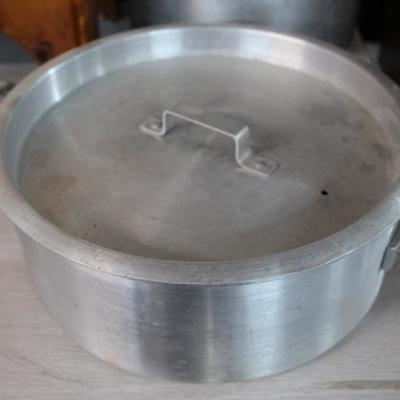 Fish fryer