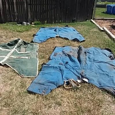 Three Horse Blankets