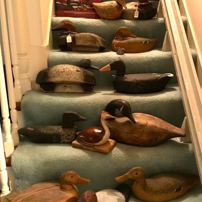 Collection of Antique Duck Decoys. Several signed
