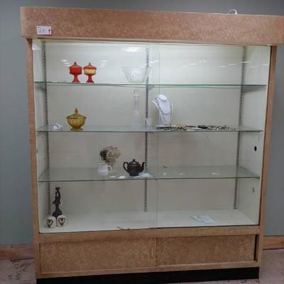 Large Glass Display Case (Contents not Included)