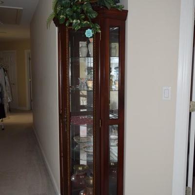 Curio Cabinet, Home Decor, & Artificial Plant