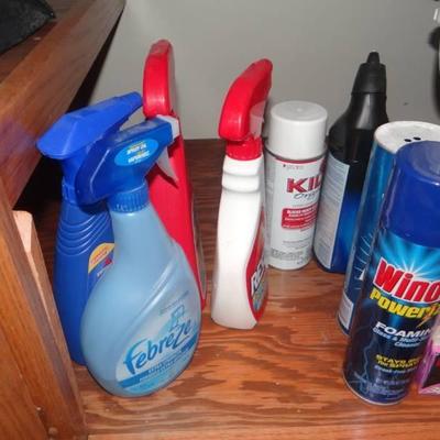 Lot of cleaning supplies.