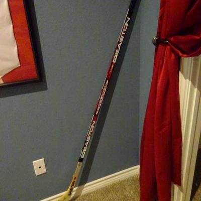 Mike Modano signed hockey stick 