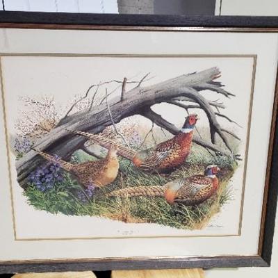 Art Pheasant