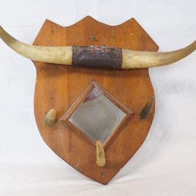 CUSTOM MADE - Horn - Mirror - Hanging Shield