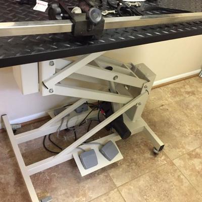 Dog Grooming Table.