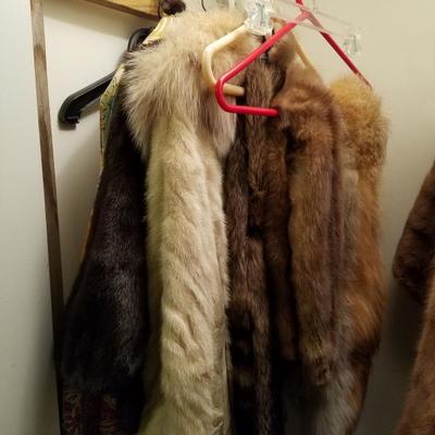 various vintage furs
