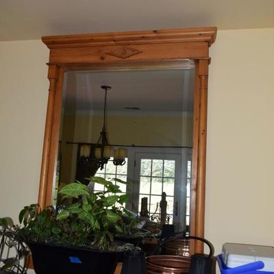 Mirror, Plant, & Home Decor