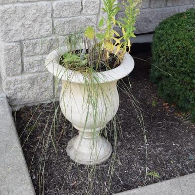 Outdoor Pot w/Plant