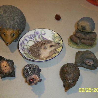Hedgehog collection