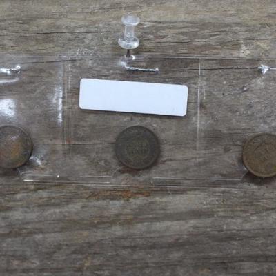 Indian Head Pennies