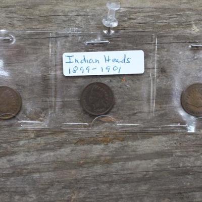 Indian Head Pennies