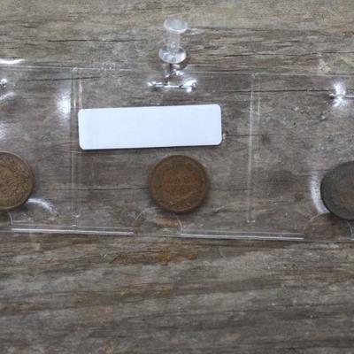 Indian Head Pennies