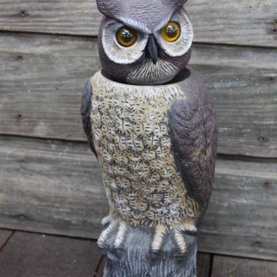 Owl Decoy