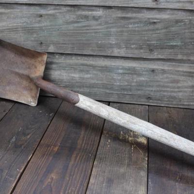 Flathead shovel
