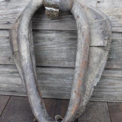 Horse Collar
