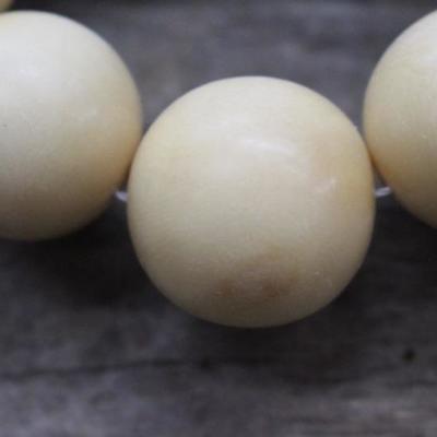 Vegetable Ivory Necklace