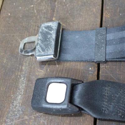 Seat Belt