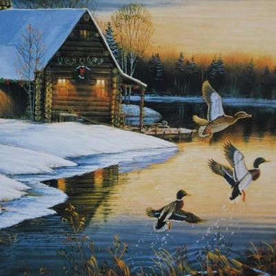 Sam Timm Duck Print