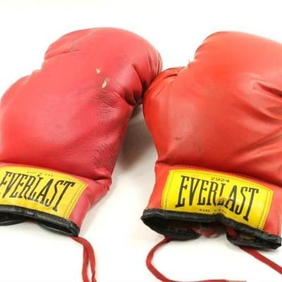 Red Everlast Boxing Gloves