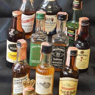 11 Mini Whiskey Bottles