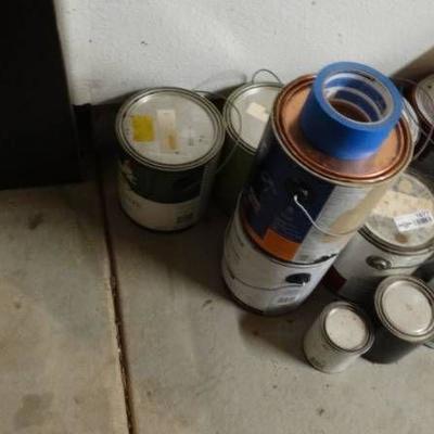 Assorted paints, cans vary in amounts.