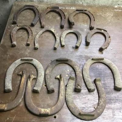 Horseshoes Real and Play