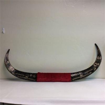 Engraved Steer Horns
