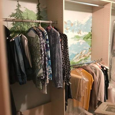 Closet Storage Units With Acrylic Pulls and Hidden Compartment. Drawers, Cubbies, and Wardrobe Rods
