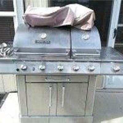 Perfect Flame Gas Grill
