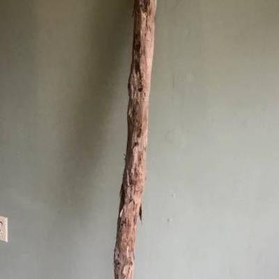 Log Pole--2 3 4 diameter and 69 length