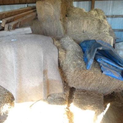 10-20 bales of hay