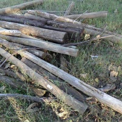 Lot of various wood posts