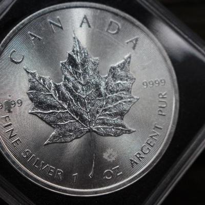 2015 1oz Silver Maple Leaf 999.9 Maple Leaf Privy
