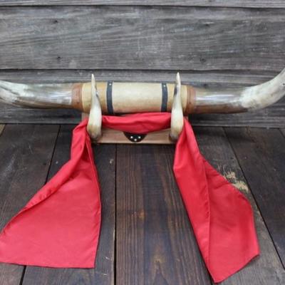 Bullhorns