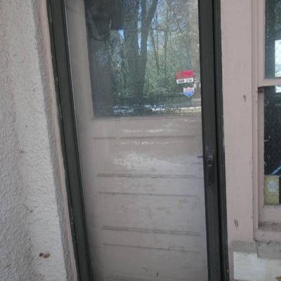 Exterior Glass Storm Door