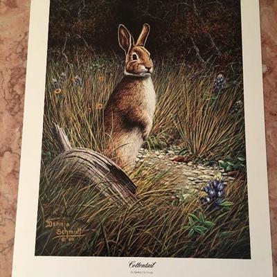 Cottontail
By Dennis Schmidt
LE; Signed; #898/1000