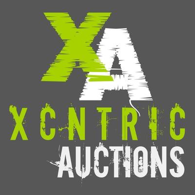 Xcntric Auctions a division of Xcntric Estate SAles