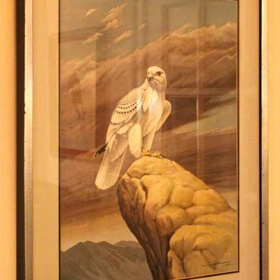 Don Eckelberry limited edition print, "White Gyr Falcon"