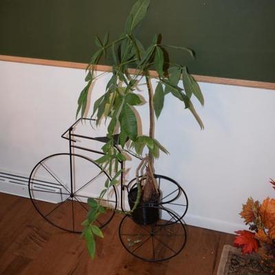 Plant with Bicycle Plant Stand