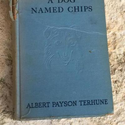 A Dog Named Chips by Albert Paulson Terhune . Grosset & Dunlap. 1930. $15